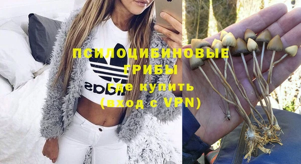 тгк Балахна
