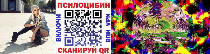 Псилоцибиновые грибы Psilocybe  сколько стоит  hydra сайт  Сорочинск 